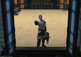 Sky's Shadowbringers main, Machinist.